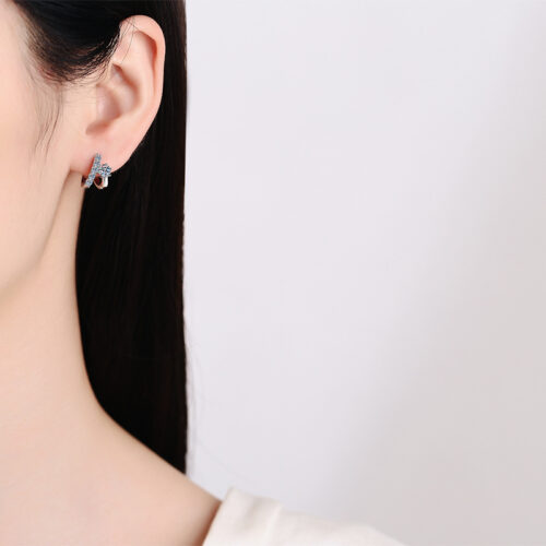 Bông Tai Kiểu Pháp Đính Kim Cương Moissanite Bạc S925 BTN056