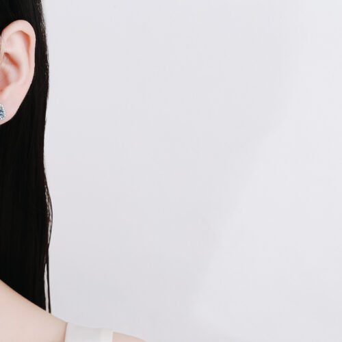 Bông Tai Moissanite Túi Vuông Sang Trọng S925 BTN017 50 Điểm